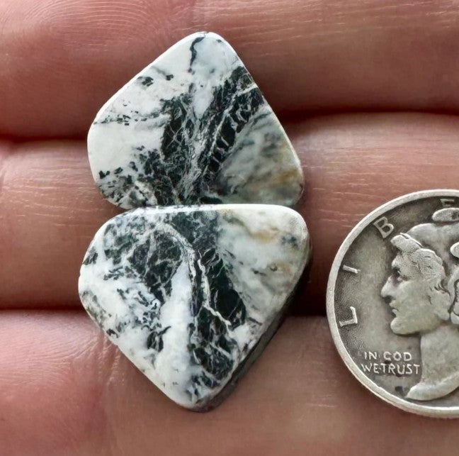 Test Item White Buffalo Cabochon 1