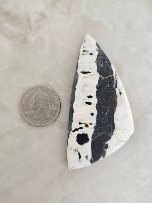 White Buffalo Turquoise Cabochon