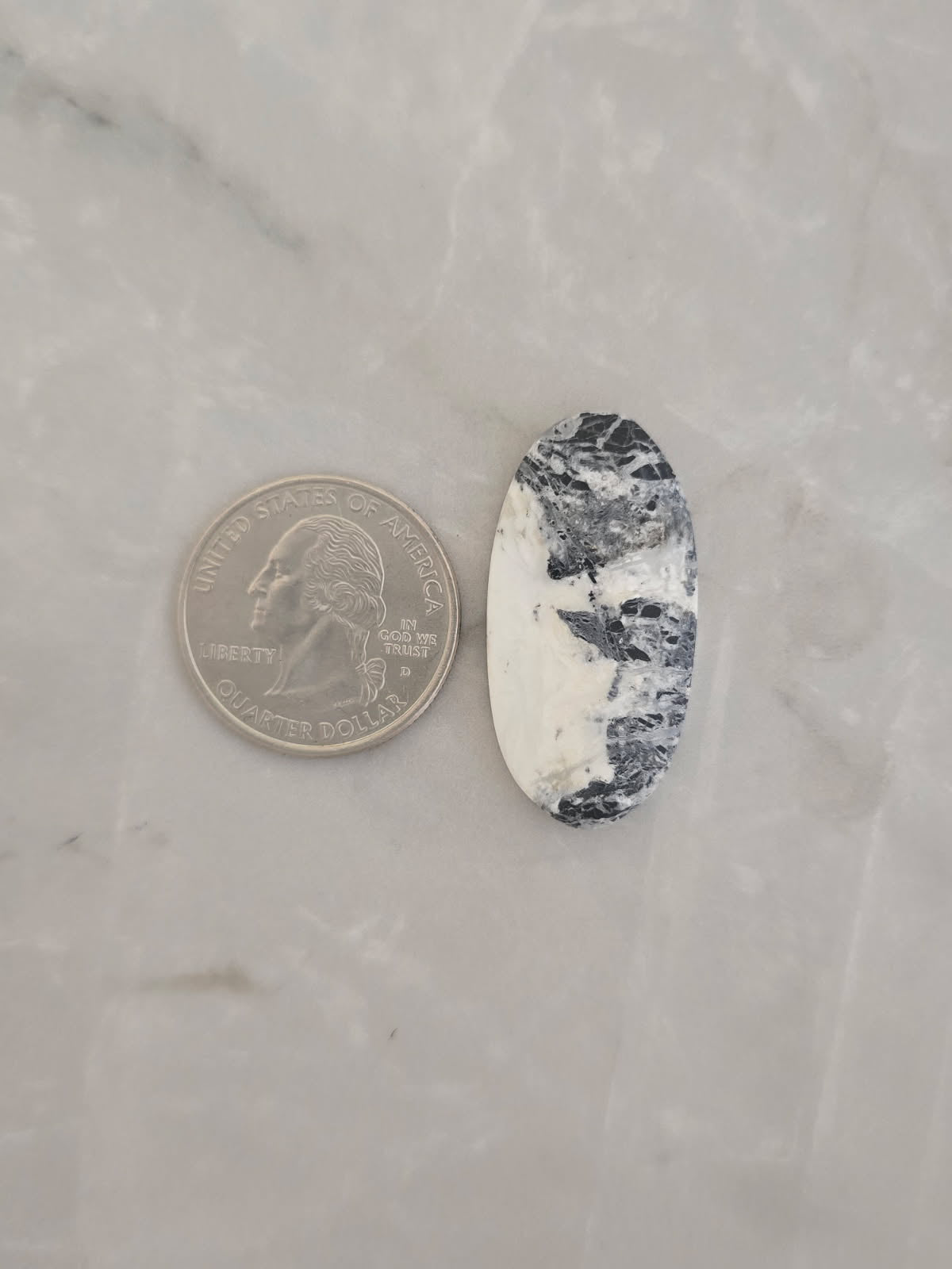 White Buffalo Turquoise Cabochon