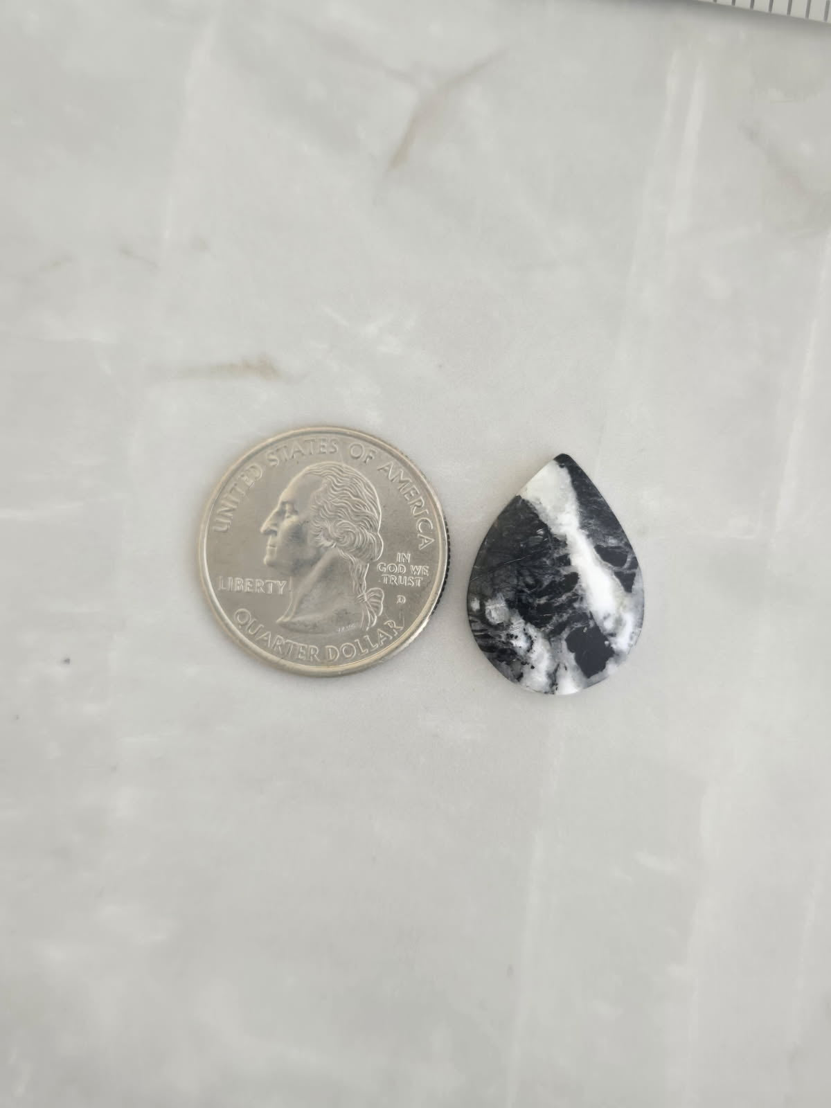 White Buffalo Turquoise Cabochon
