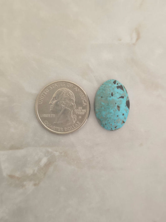 Carico Lake Turquoise Cabochon
