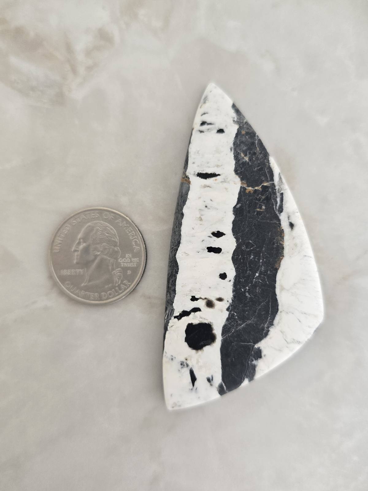 White Buffalo Turquoise Cabochon